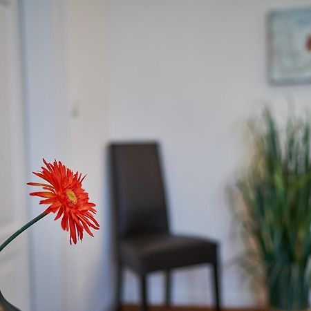 דירות FDH Casa Pinos מראה חיצוני תמונה